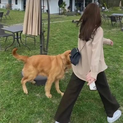 阿涅斯论瓦尔达